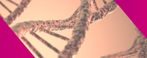 curso_genetica